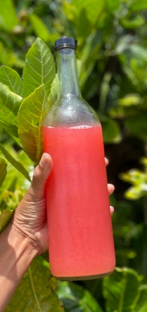 GingerBerry Immune Booster + Vitamin C